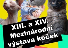 XIII. Mezinárodní výstava koček